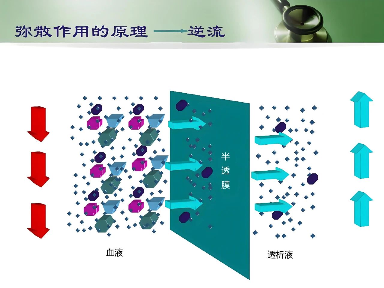 肾友课堂 | 一文读懂血液透析、血液滤过以及血液灌流的原理和作用_肾友园地_新闻资讯_淄博康贝医疗器械有限公司_血液灌流器生产企业