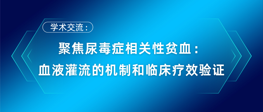 聚焦尿毒症相关性贫血：血液灌流的机制和临床疗效验证